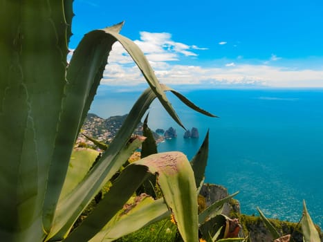 View from a cliff on the island of Capri, Italy, and rocks in the sea