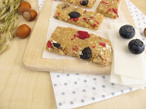 Homemade fruit bars with dried fruits,oatmeal,nuts and coconut