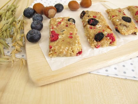 Homemade fruit bars with dried fruits,oatmeal,nuts and coconut