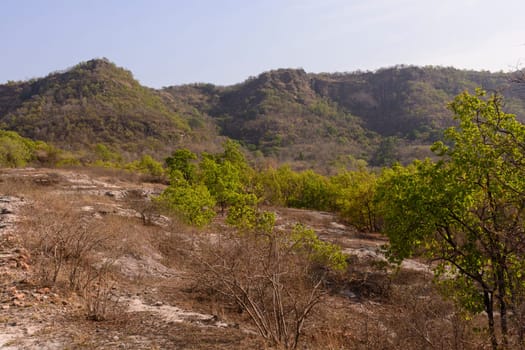Cliffs in the Indian Wilderness of Bandhavgarh National Park in India