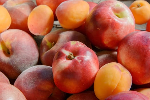 many peaches and apricots on table