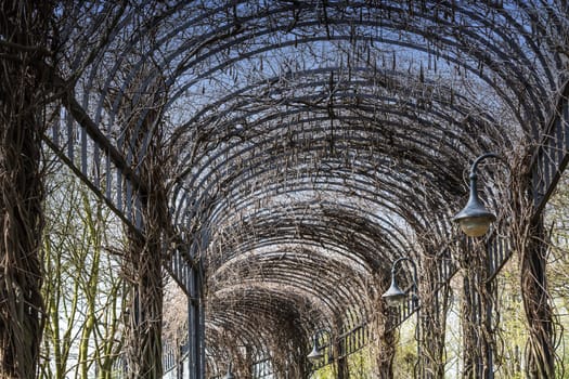 Beautiful garden architecture for entwining plants covered arcade.
