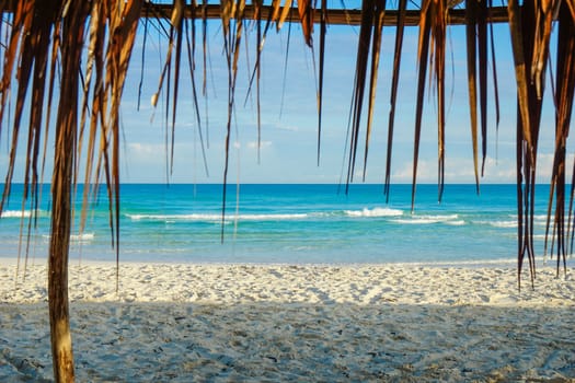 Wonderful tropical beach in Cuba, with crystal clear water, sunshine and palm leaf sun Umbrellas