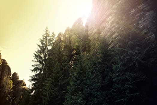 rock town,the national park of adrspach-teplice in the czech republic,vintage effect