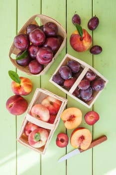 Various fresh stone fruits in small coerblets