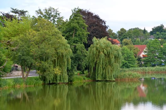 The Burgsee in Bad Salzungen