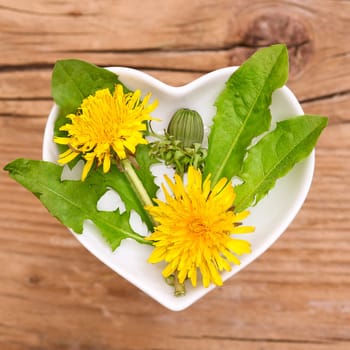 Homeopathy and cooking with medicinal herbs,dandelions