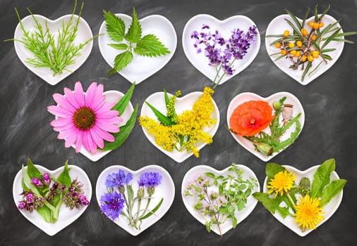 Alternative medicine with medicinal plants 2