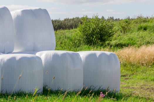 Silage Balls Close Up with vegetation in the background.