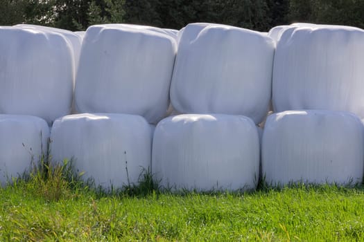 Silage Balls Close Up with trees in the background.