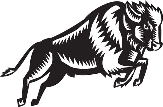 Illustration of an American bison or buffalo jumping viewed from the side set on isolated white background done in retro woodcut style.