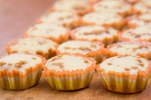 Three rows of freshly baked cupcakes in tins