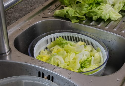 washing the salad in the kitchen