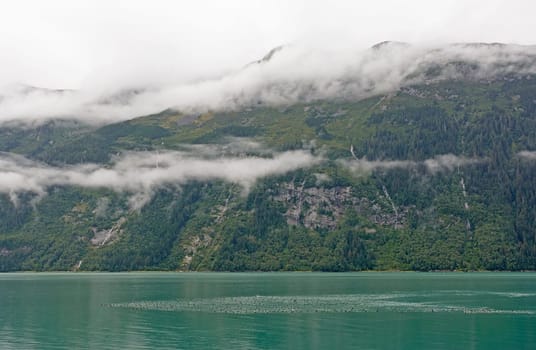 Coastal Fjord in the Fog in the Lynn Canal Near Haines, Alaska
