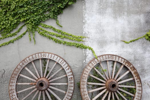 Wooden wheel on old brick wall