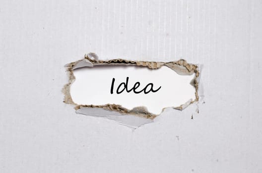 The word idea appearing behind torn paper