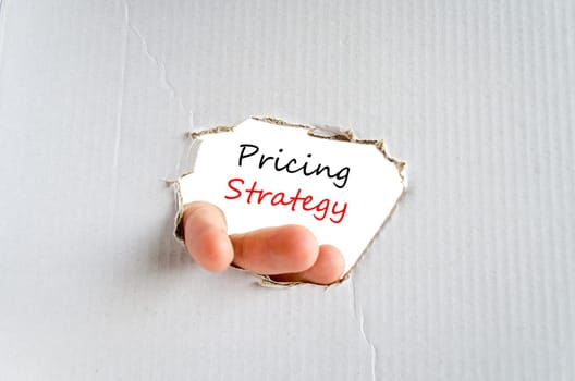 Pricing strategy text concept isolated over white background