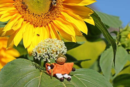 Little gnome with flower umbrella sits on sunflower leaf