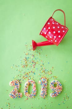 Cookies with colorful sprinkles for the New Year 2019 on a green background