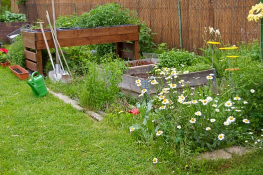 Garden beds and raised bed with flowers in summer