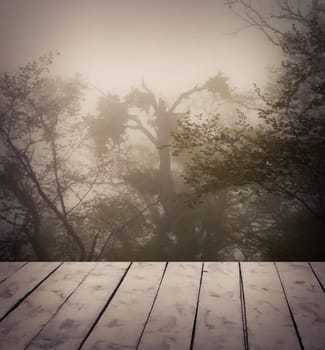 Mysterious forest in fog in halloween stile