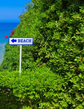 Sunny sand beach with beautiful flowers and pointer to the beach