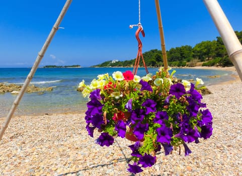 Sunny sand beach with beautiful flowers in Greece