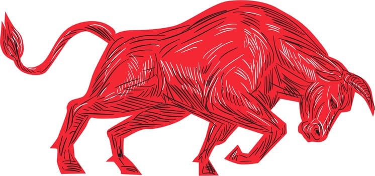 Drawing sketch style illustration of a bull facing attacking charging viewed from the side set on isolated white background.