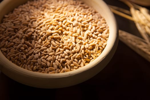 Sprout of wheat in a clay bowl with ears