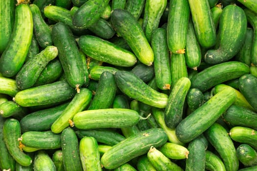 Cucumbers background