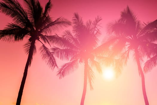 Tropical sunset