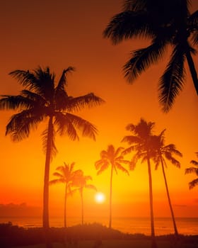 Tropical sunset