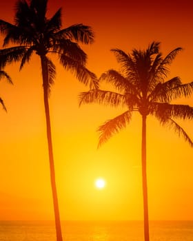 Tropical sunset