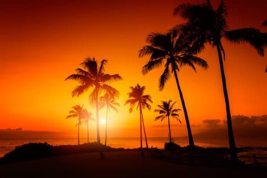 Tropical sunset