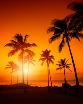 Tropical sunset