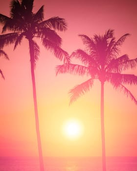 Tropical sunset