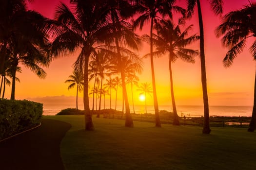 Tropical sunset