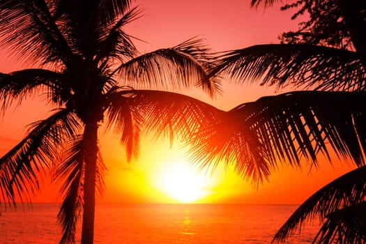 Tropical sunset