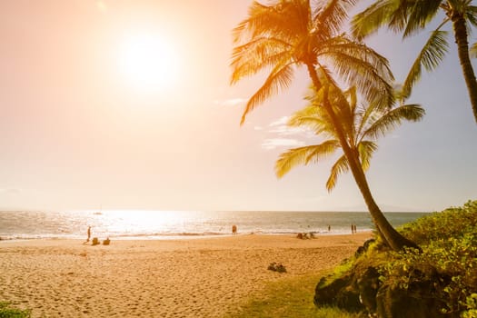 Tropical sunset
