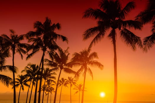 Tropical sunset