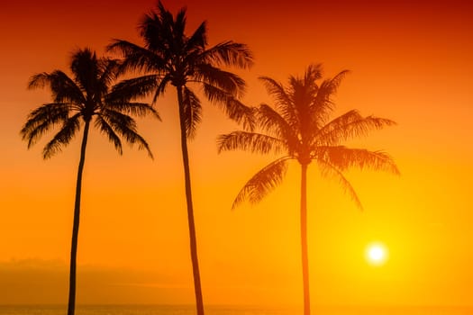 Tropical sunset