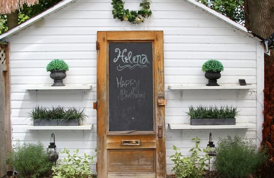 Plants on shelves, growing in a garden, with an antique wood door propped against a white wall of shed