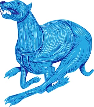 Drawing sketch style illustration of a greyhound dog with mouth guard racing viewed from the side set on isolated white background.