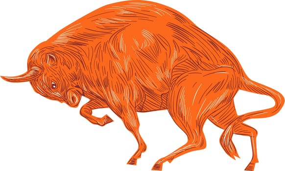 Drawing sketch style illustration of an angry European bison bull charging viewed from the side set on isolated white background.