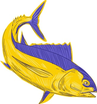 Drawing sketch style illustration of albacore tuna fish also known as  albacore fish,albicore, albie, pigfish, tombo ahi, binnaga, Pacific albacore, bonito del Norte, German bonito , longfin, longfin tuna and longfin tunny viewed from the side set on isolated white background.