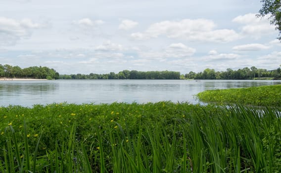 a pond with grass in the foreground