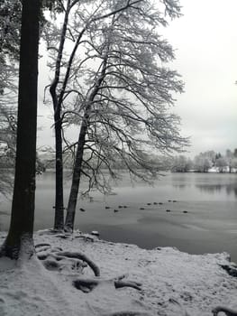 Winter at Liepnitzsee
