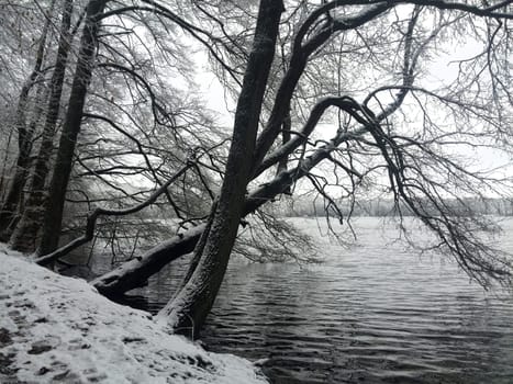 Winter in Brandenburg