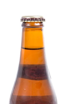 beer bottle on the white background