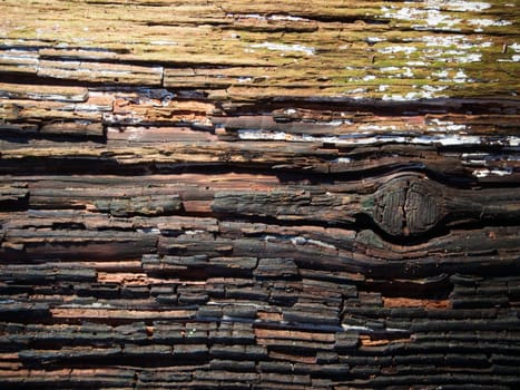 Wood surface of weathered wood with washed-out grain